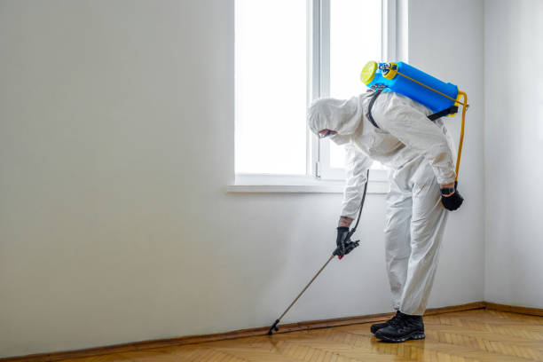  Cheverly, MD Pest Control Pros