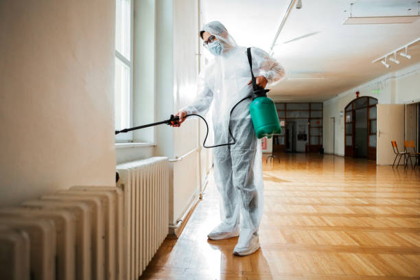 Best Rat Extermination Near Me  in Cheverly, MD